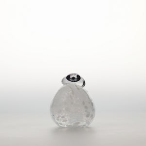 Birds Snow Finch 0043