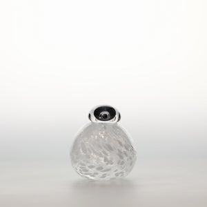 Birds Snow Finch 0045