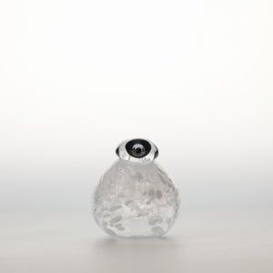 Birds Snow Finch 0048