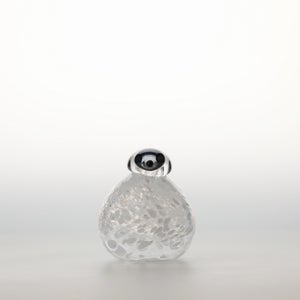 Birds Snow Finch 0049