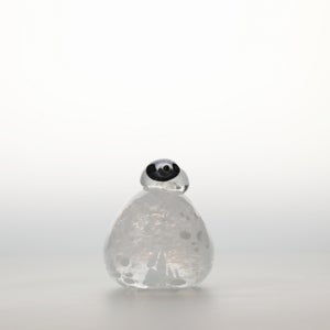 Birds Snow Finch 0052