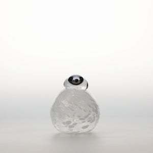 Birds Snow Finch 0053