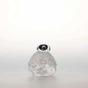 Birds Snow Finch 0057