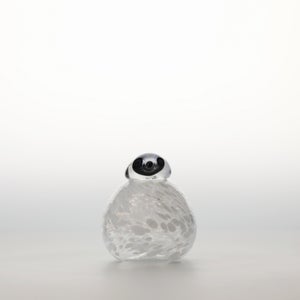 Birds Snow Finch 0060