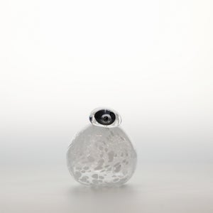 Birds Snow Finch 0061