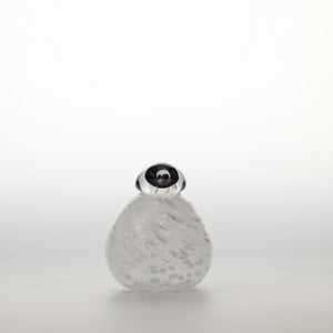 Birds Snow Finch 0063