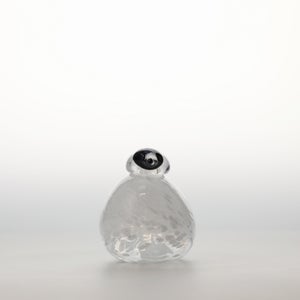 Birds Snow Finch 0064