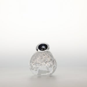 Birds Snow Finch 0065