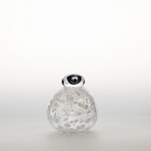 Birds Snow Finch 0066