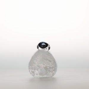 Birds Snow Finch 0067