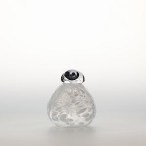 Birds Snow Finch 0068