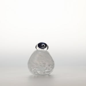 Birds Snow Finch 0069