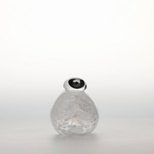 Birds Snow Finch 0070