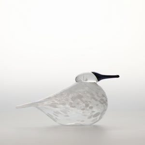 Birds Snow Finch 0001