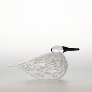 Birds Snow Finch 0004