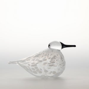 Birds Snow Finch 0026