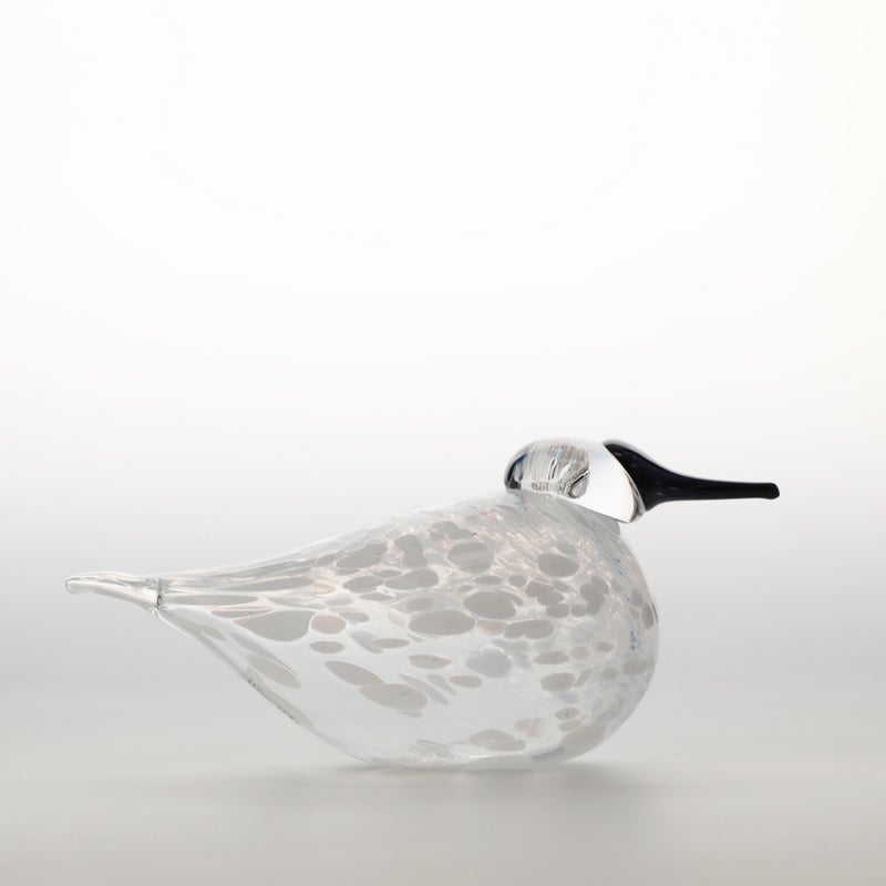 iittala Snow Finch 冬季限定バード｜SCOPE（スコープ）