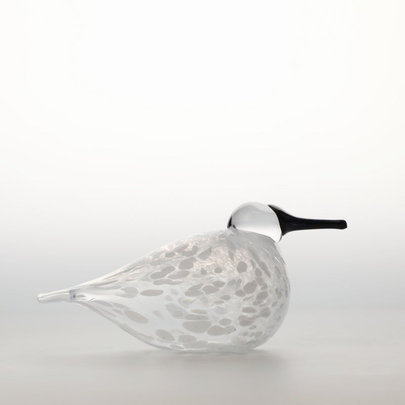iittala Snow Finch 冬季限定バード｜SCOPE（スコープ）