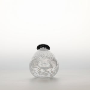 Birds Snow Finch 0007