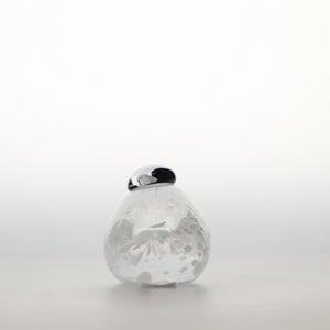 Birds Snow Finch 0015