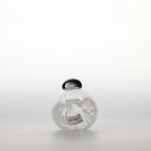 Birds Snow Finch 0016