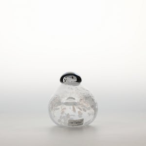 Birds Snow Finch 0017