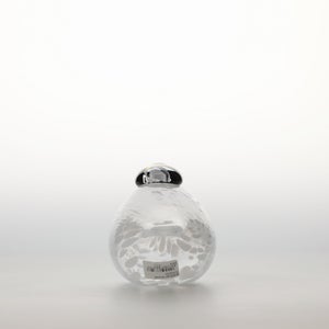 Birds Snow Finch 0018