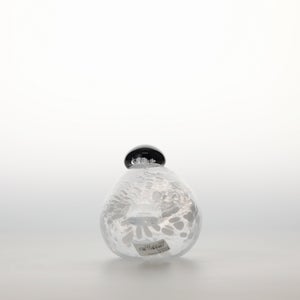 Birds Snow Finch 0019