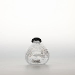 Birds Snow Finch 0021