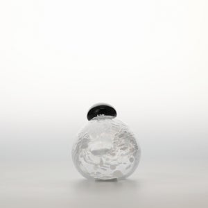 Birds Snow Finch 0027