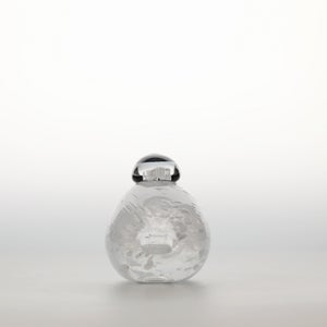 Birds Snow Finch 0032