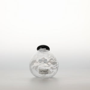 Birds Snow Finch 0033