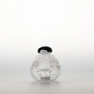 Birds Snow Finch 0035