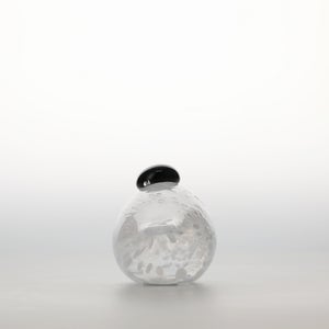 Birds Snow Finch 0042