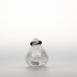 Birds Snow Finch 0043