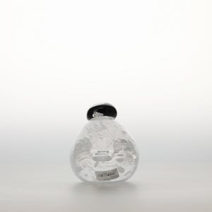 Birds Snow Finch 0044