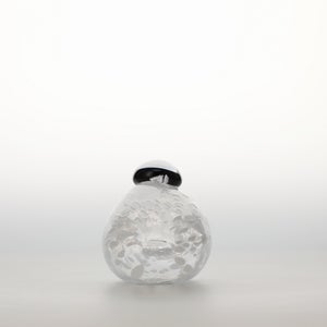 Birds Snow Finch 0046