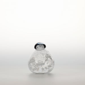 Birds Snow Finch 0049