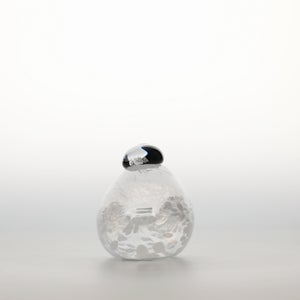 Birds Snow Finch 0050