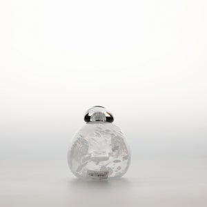 Birds Snow Finch 0060