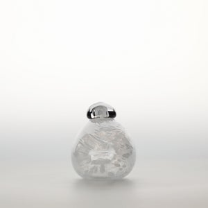 Birds Snow Finch 0063