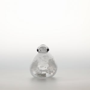 Birds Snow Finch 0064