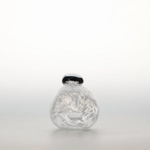 Birds Snow Finch 0066