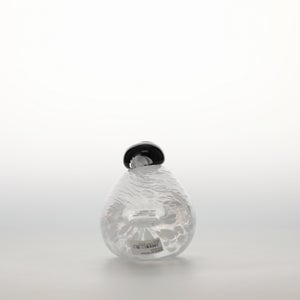 Birds Snow Finch 0067