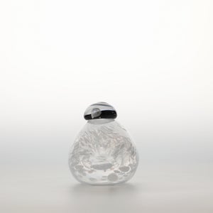 Birds Snow Finch 0068