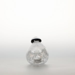 Birds Snow Finch 0069