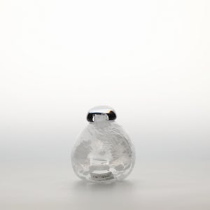 Birds Snow Finch 0070