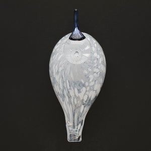 Birds Snow Finch 0007