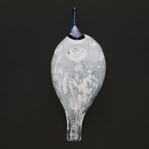 Birds Snow Finch 0008