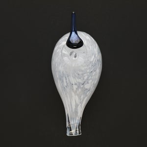 Birds Snow Finch 0009